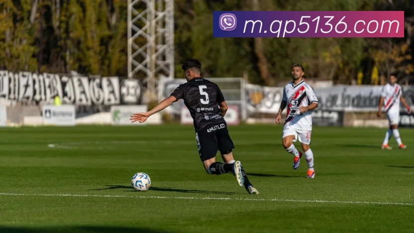 天天棋牌平台生态图